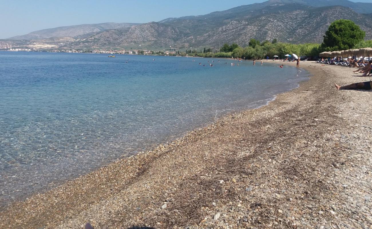 Kalamies beach'in fotoğrafı küçük kahverengi çakıllar yüzey ile