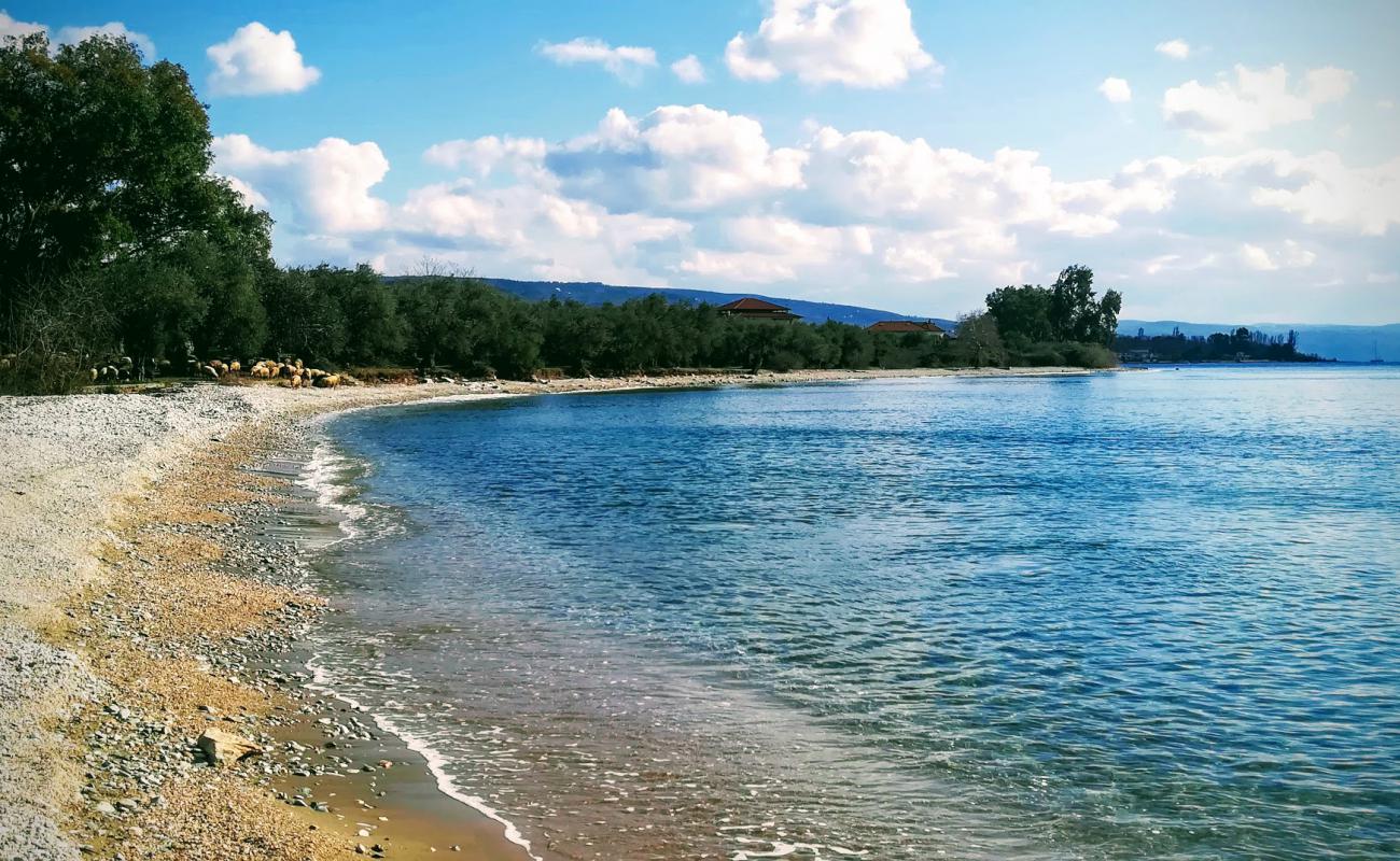 Glypha beach'in fotoğrafı siyah kum ve çakıllar yüzey ile