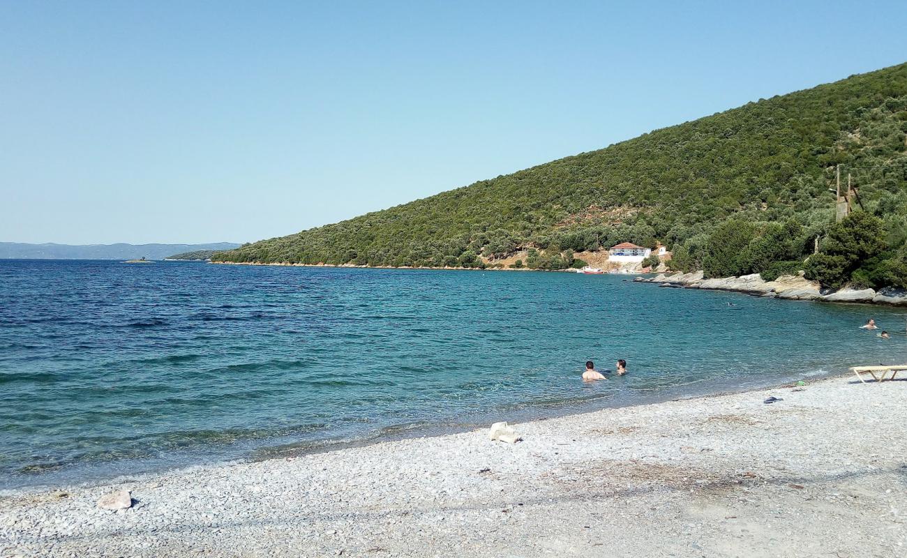 Alogoporos beach'in fotoğrafı hafif çakıl yüzey ile