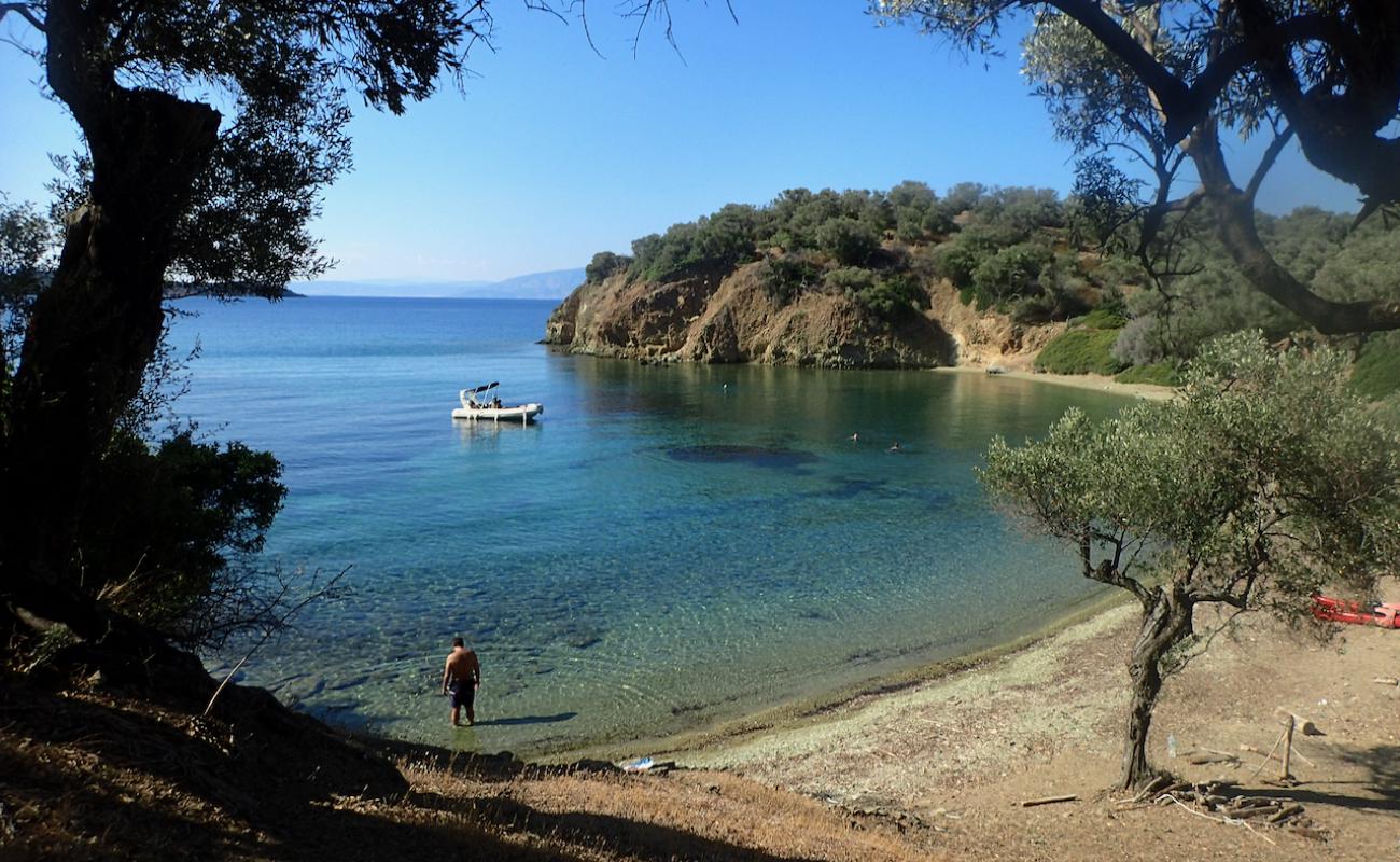 Green beach'in fotoğrafı taşlı kum yüzey ile