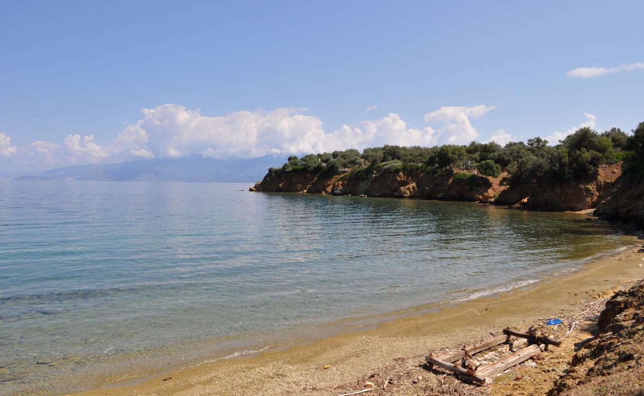 Pied beach'in fotoğrafı siyah kum ve çakıllar yüzey ile