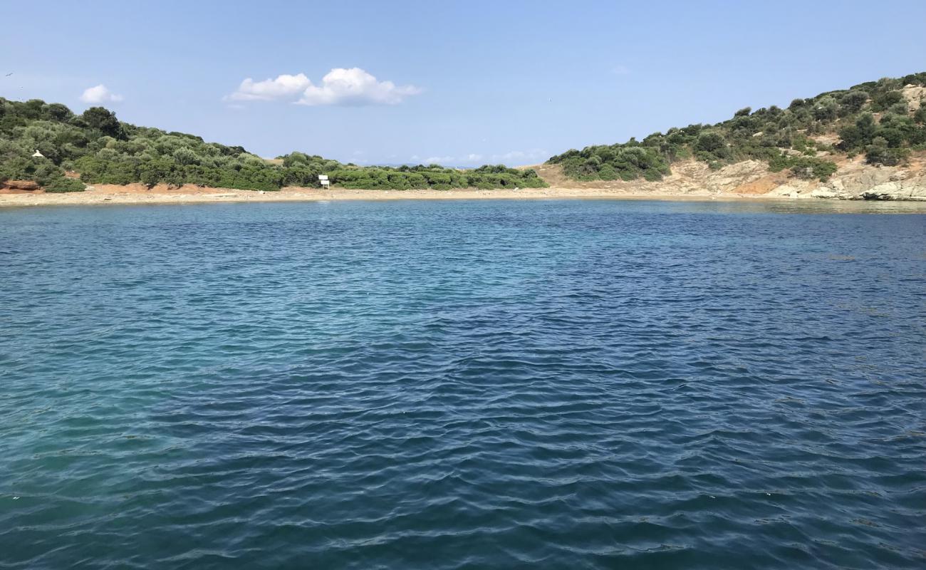 Pythou beach'in fotoğrafı taşlı kum yüzey ile