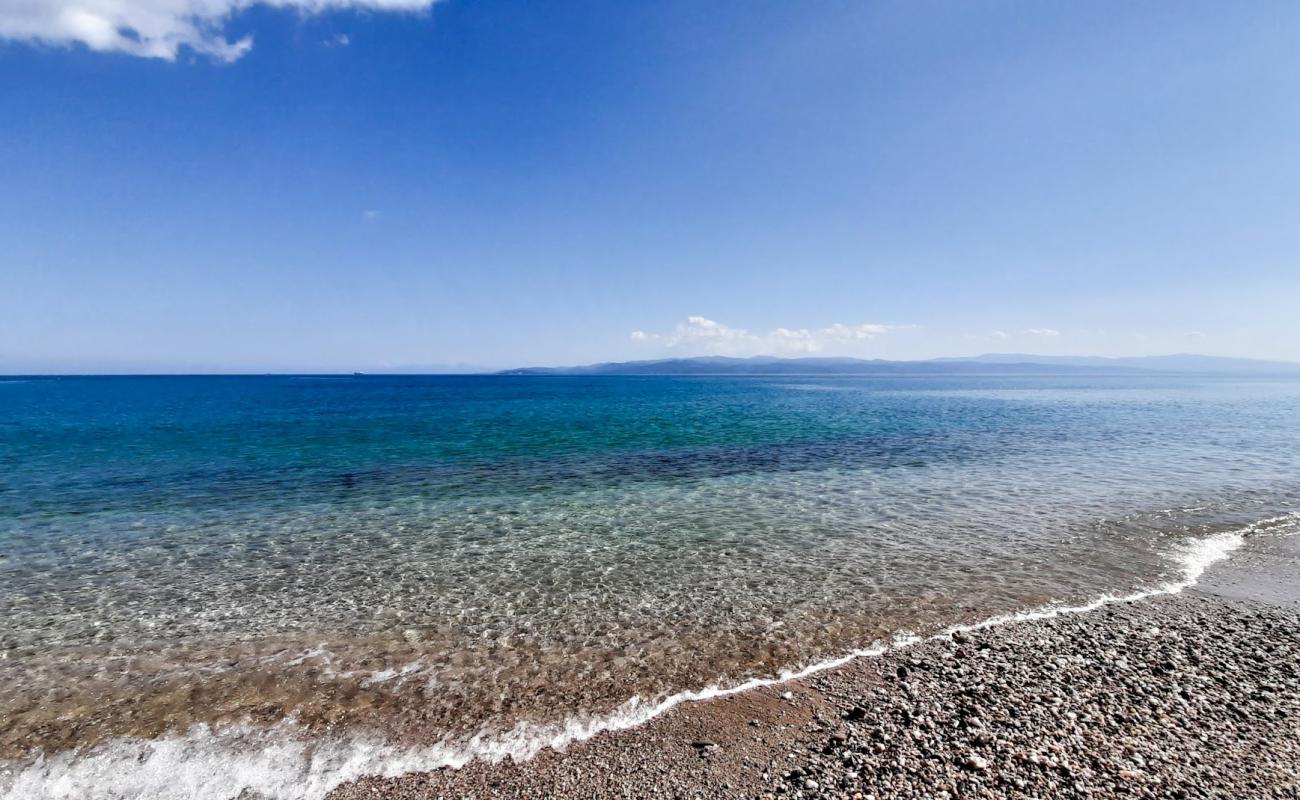 Platanias marina beach'in fotoğrafı bej kum ve çakıl yüzey ile