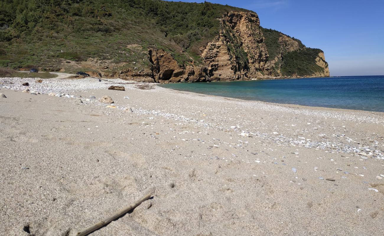 Theotokos beach'in fotoğrafı bej kum ve çakıl yüzey ile