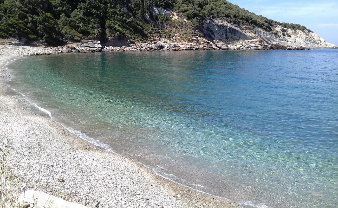 Agios Dimitros beach'in fotoğrafı hafif çakıl yüzey ile