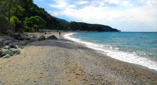 Koutsoupia beach