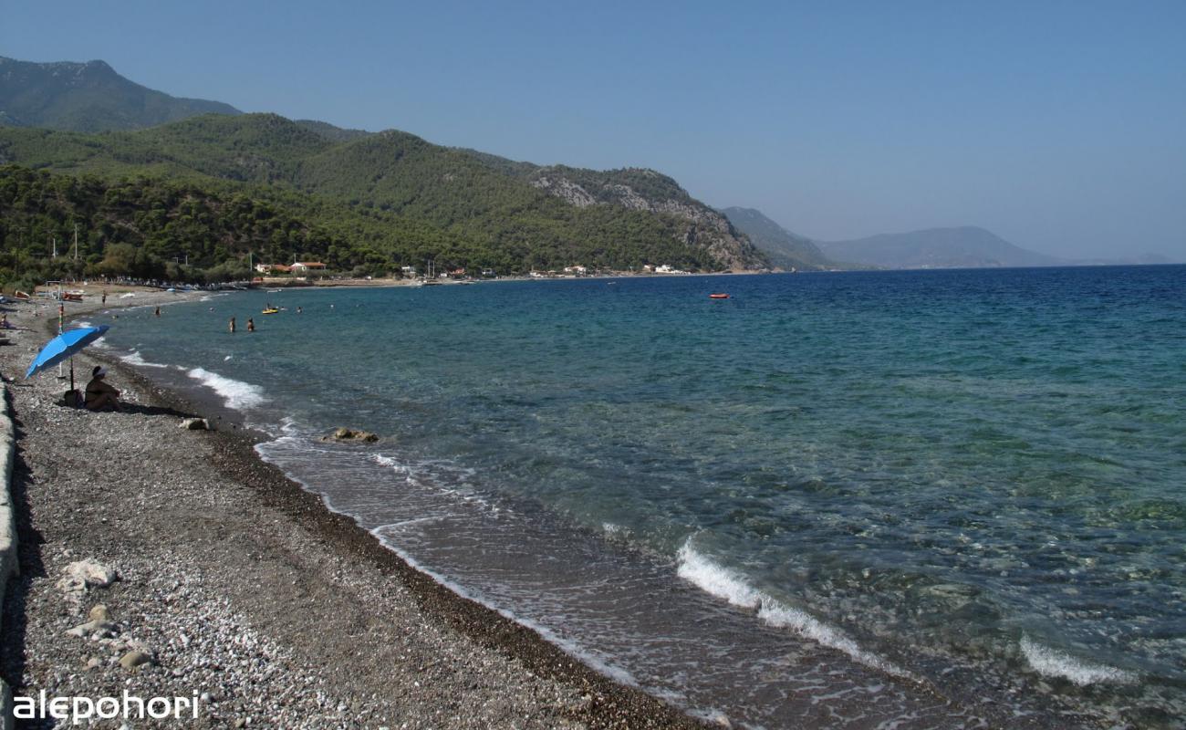 Alepochori beach II'in fotoğrafı çakıl ile kum yüzey ile