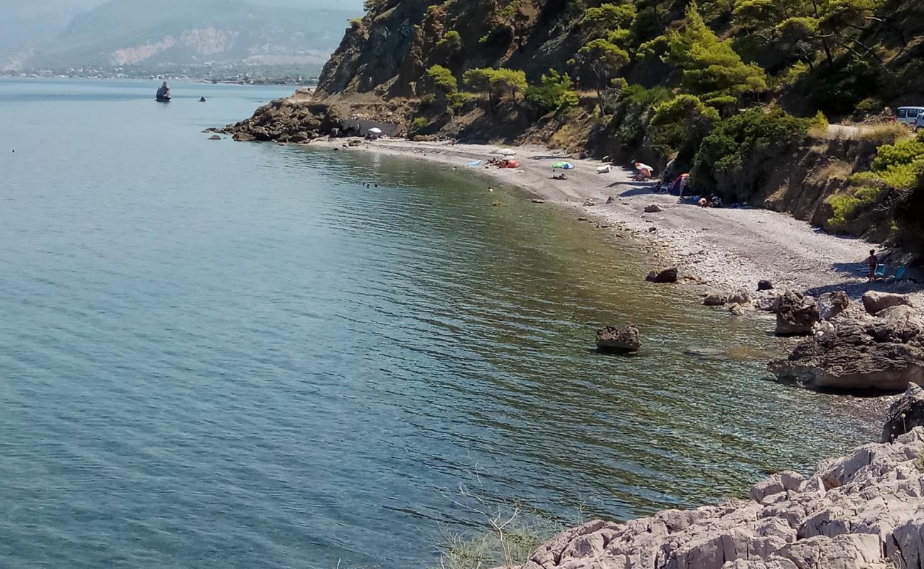 Alepochori Schinos beach'in fotoğrafı gri ince çakıl taş yüzey ile