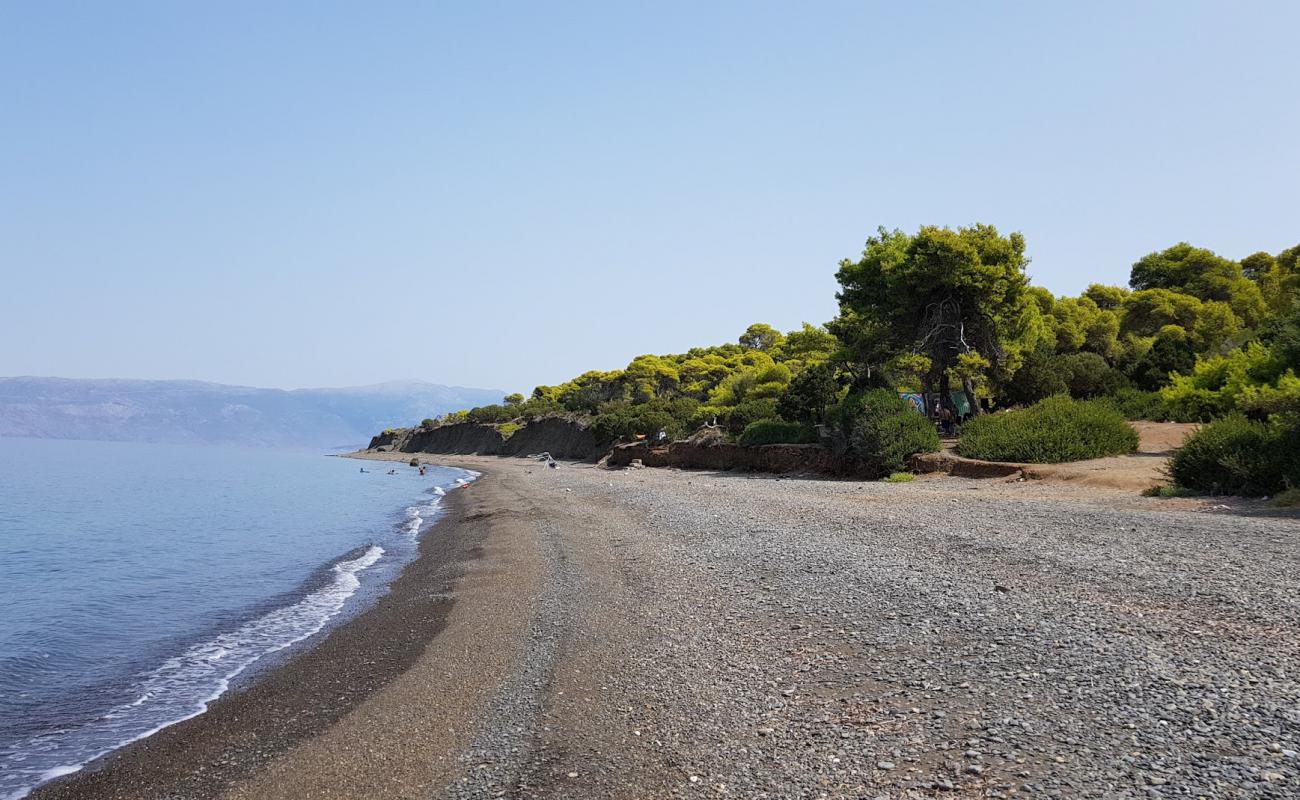 Almyra beach'in fotoğrafı gri ince çakıl taş yüzey ile