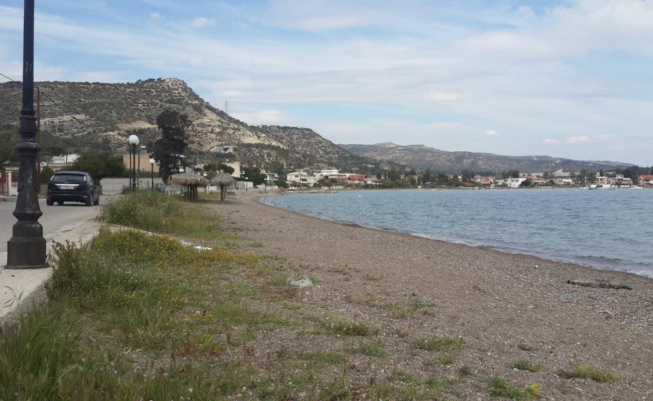 Kalamaki beach'in fotoğrafı turkuaz saf su yüzey ile