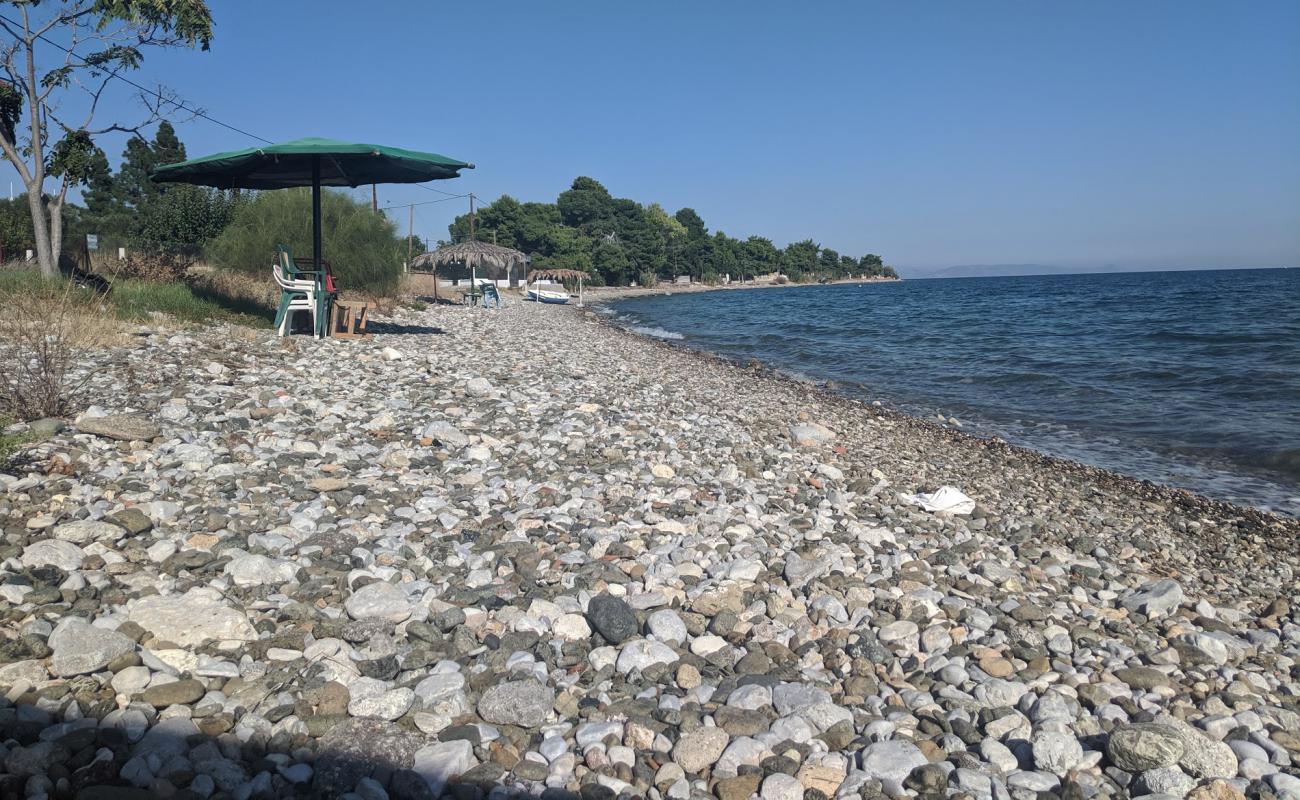 Agioi Theodoroi 2 beach'in fotoğrafı koyu i̇nce çakıl yüzey ile