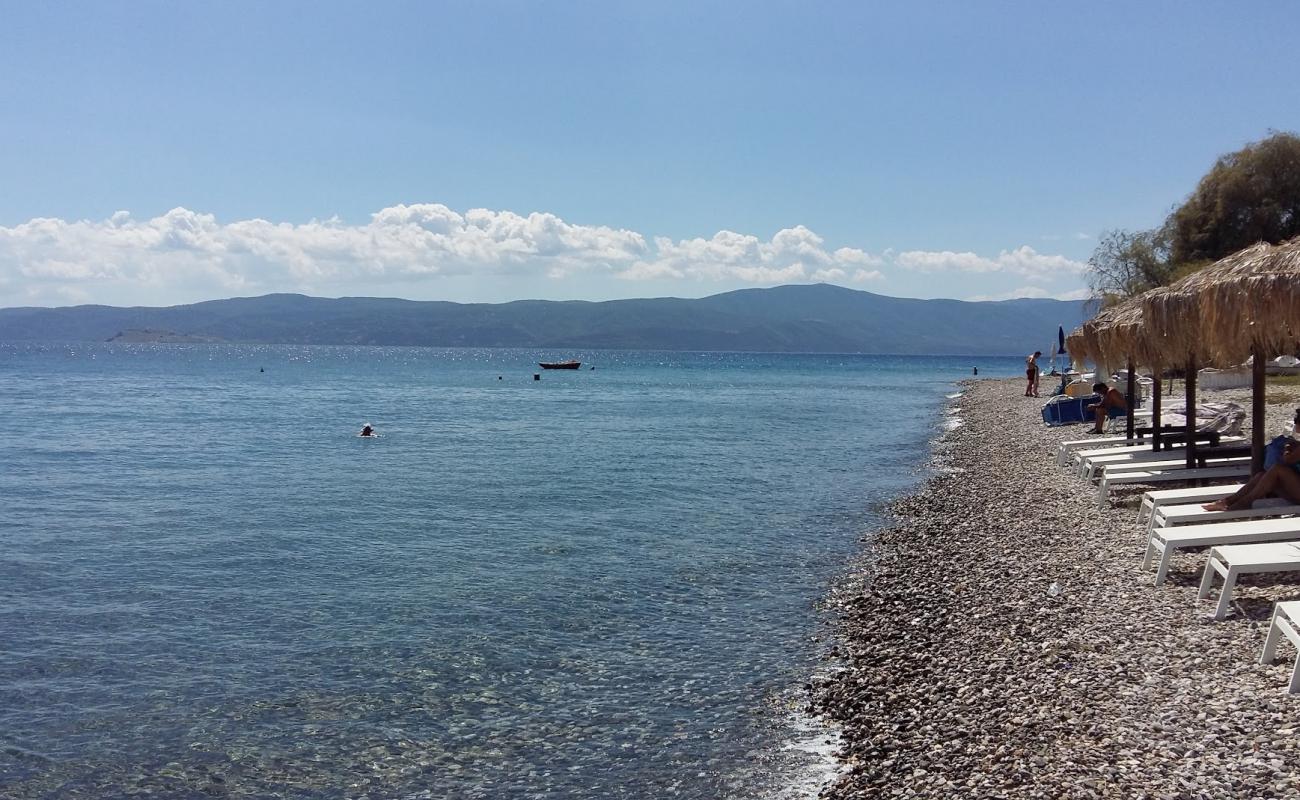 Agioi Theodoroi beach'in fotoğrafı gri ince çakıl taş yüzey ile