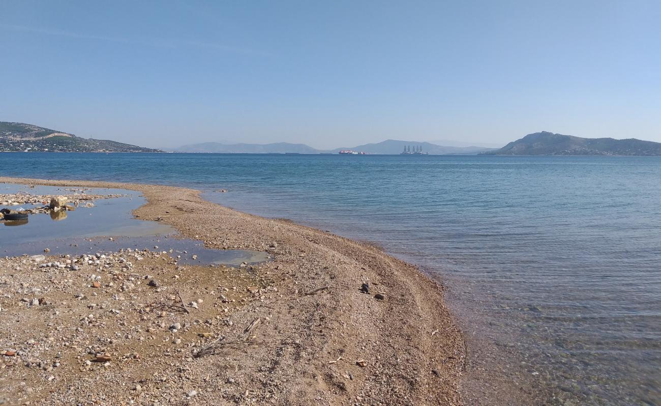 Riviera beach'in fotoğrafı koyu i̇nce çakıl yüzey ile