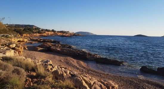 Halcyon beach