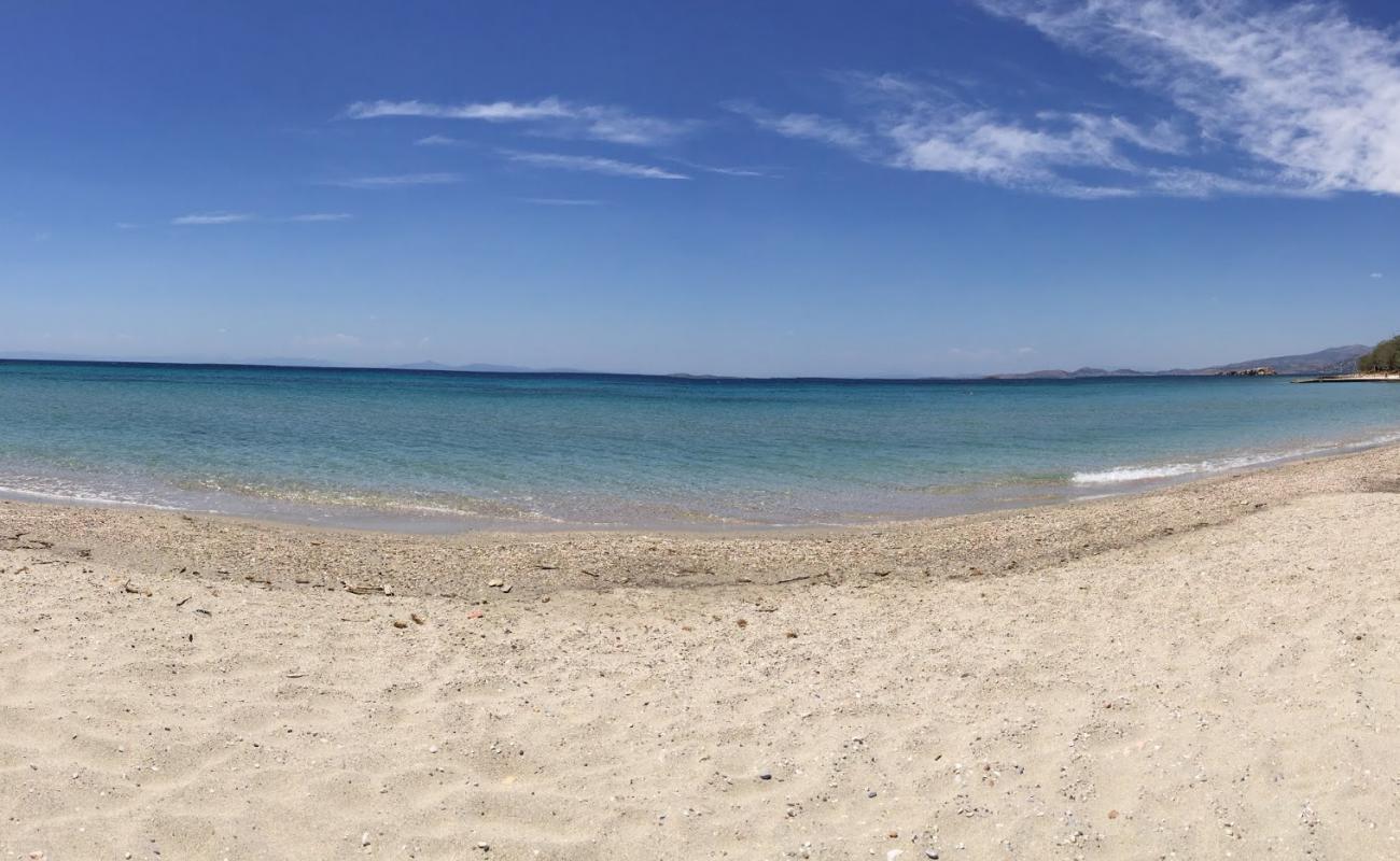 Paralia Saronida'in fotoğrafı açık bej kum yüzey ile