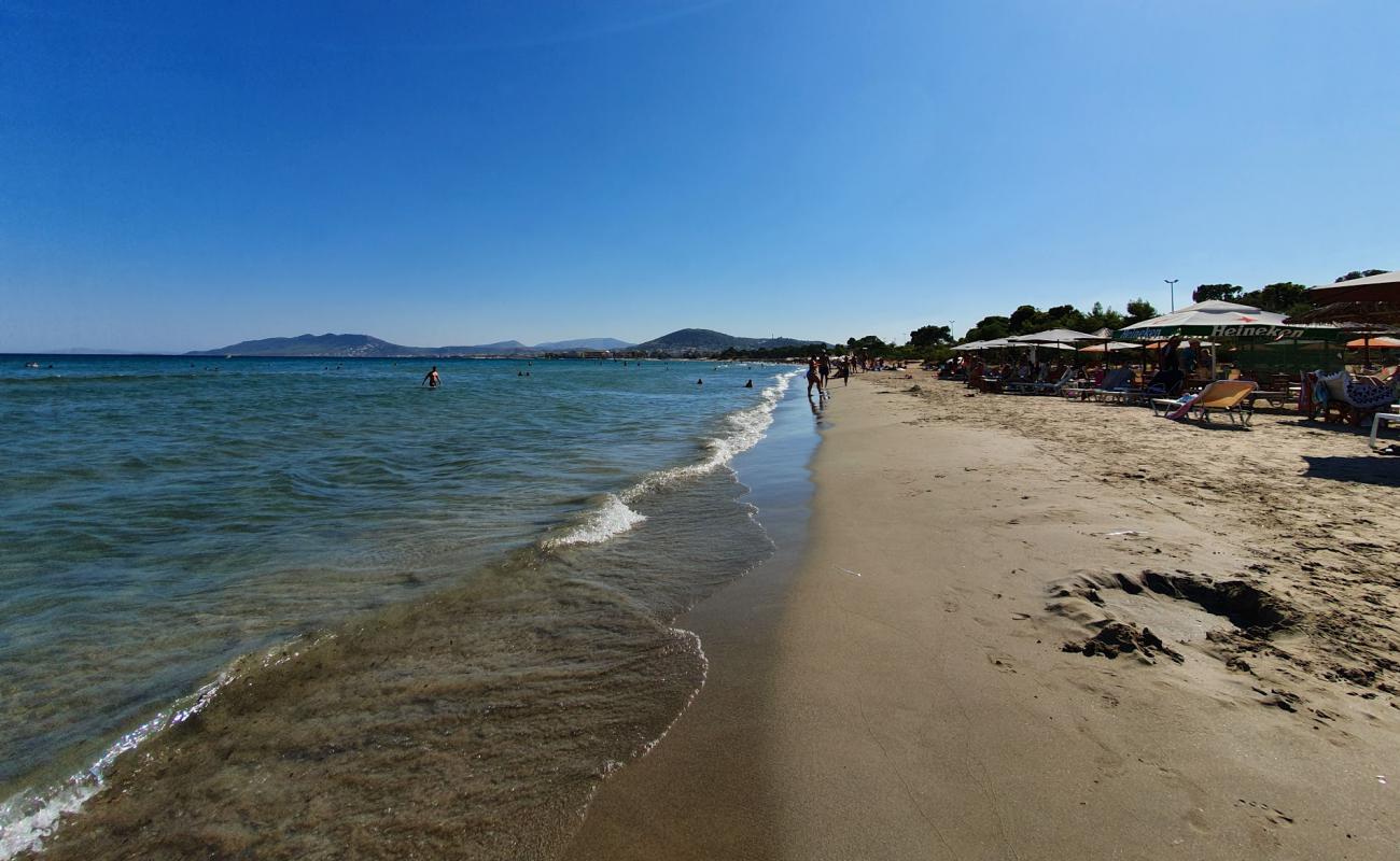 Artemis beach'in fotoğrafı parlak kum yüzey ile