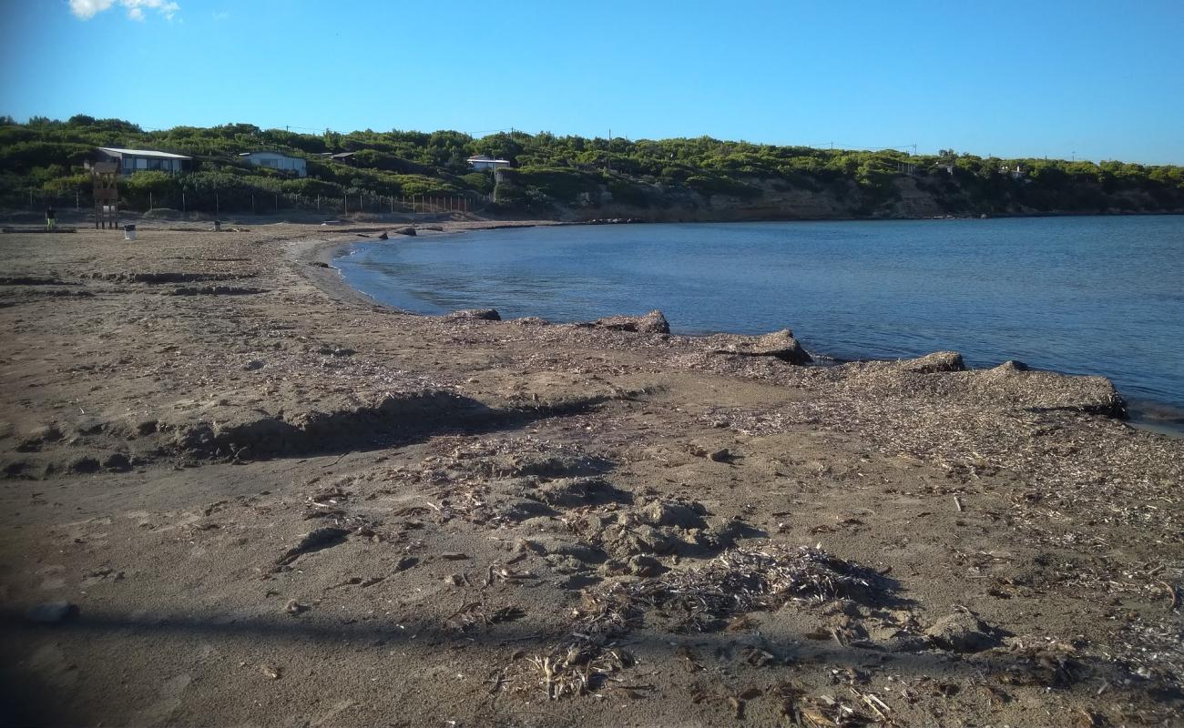 Avlaki beach'in fotoğrafı parlak kum yüzey ile