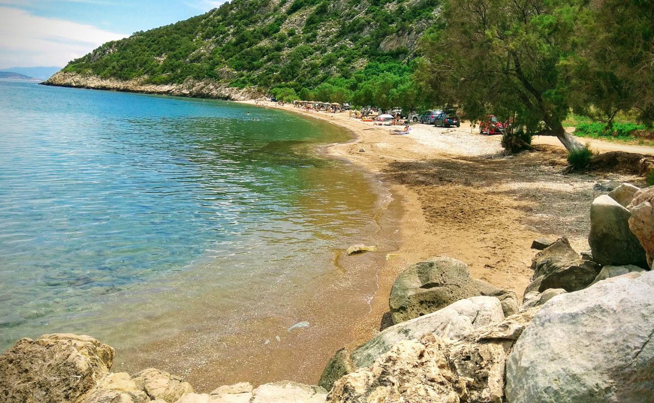 Ramnous beach'in fotoğrafı çakıl ile kum yüzey ile