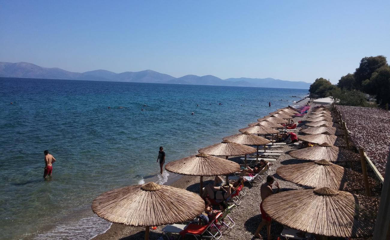 Barnabas beach'in fotoğrafı siyah kum ve çakıllar yüzey ile