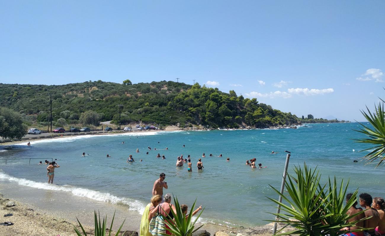 Limnionas beach'in fotoğrafı hafif çakıl yüzey ile