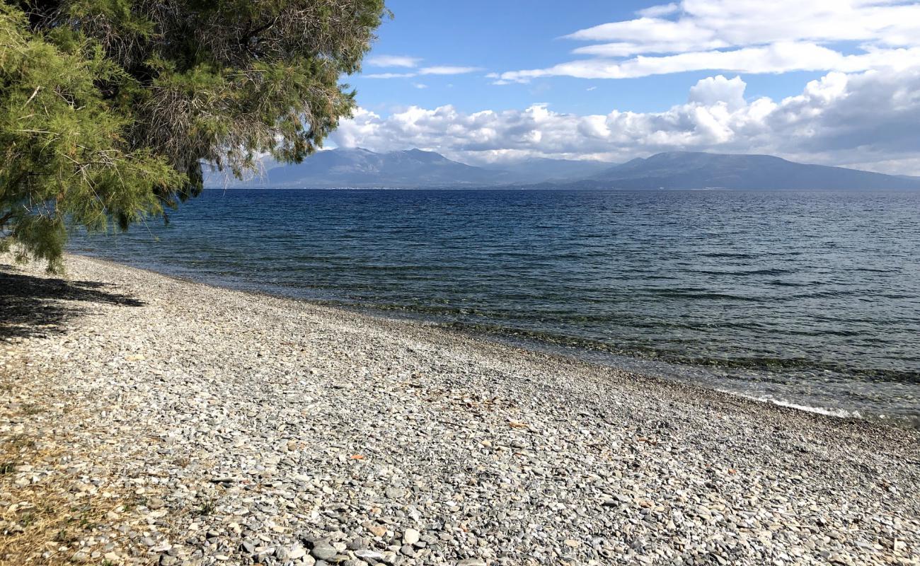 Paralia Angona'in fotoğrafı bej çakıl yüzey ile