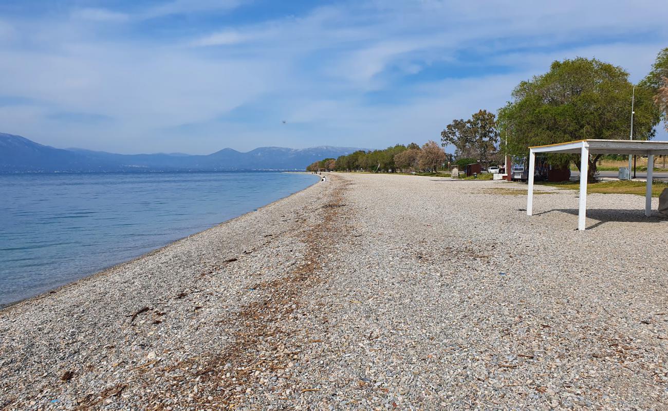 Paralia Markopoulou II'in fotoğrafı hafif çakıl yüzey ile