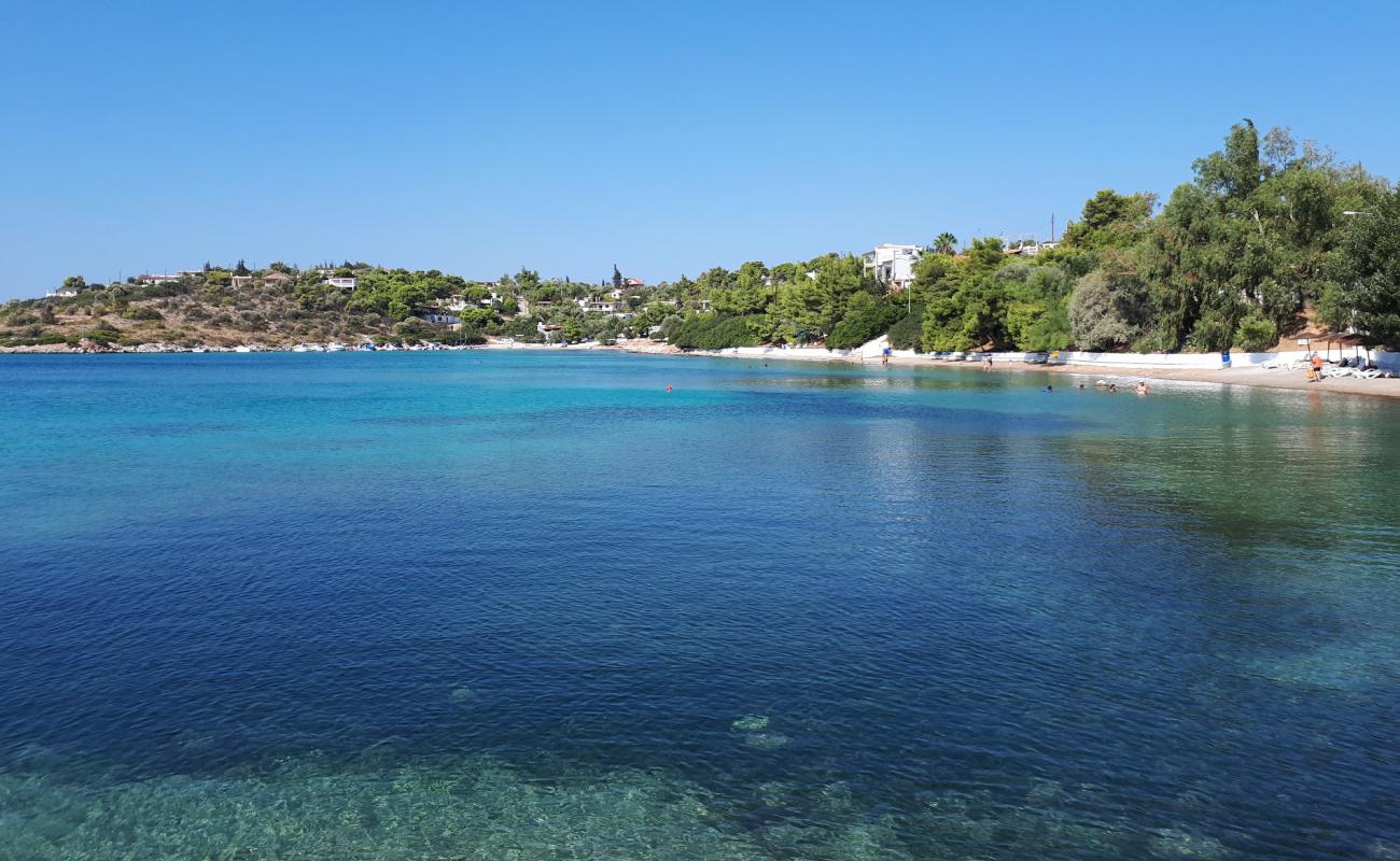 Iliakti Salamis Beach'in fotoğrafı bej kum ve çakıl yüzey ile