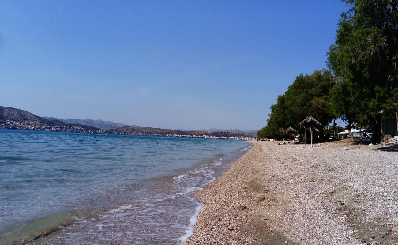 Paralia Zefiros'in fotoğrafı küçük bej çakıl yüzey ile