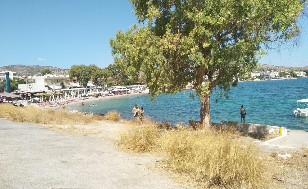 Selinia beach'in fotoğrafı siyah kum ve çakıl yüzey ile