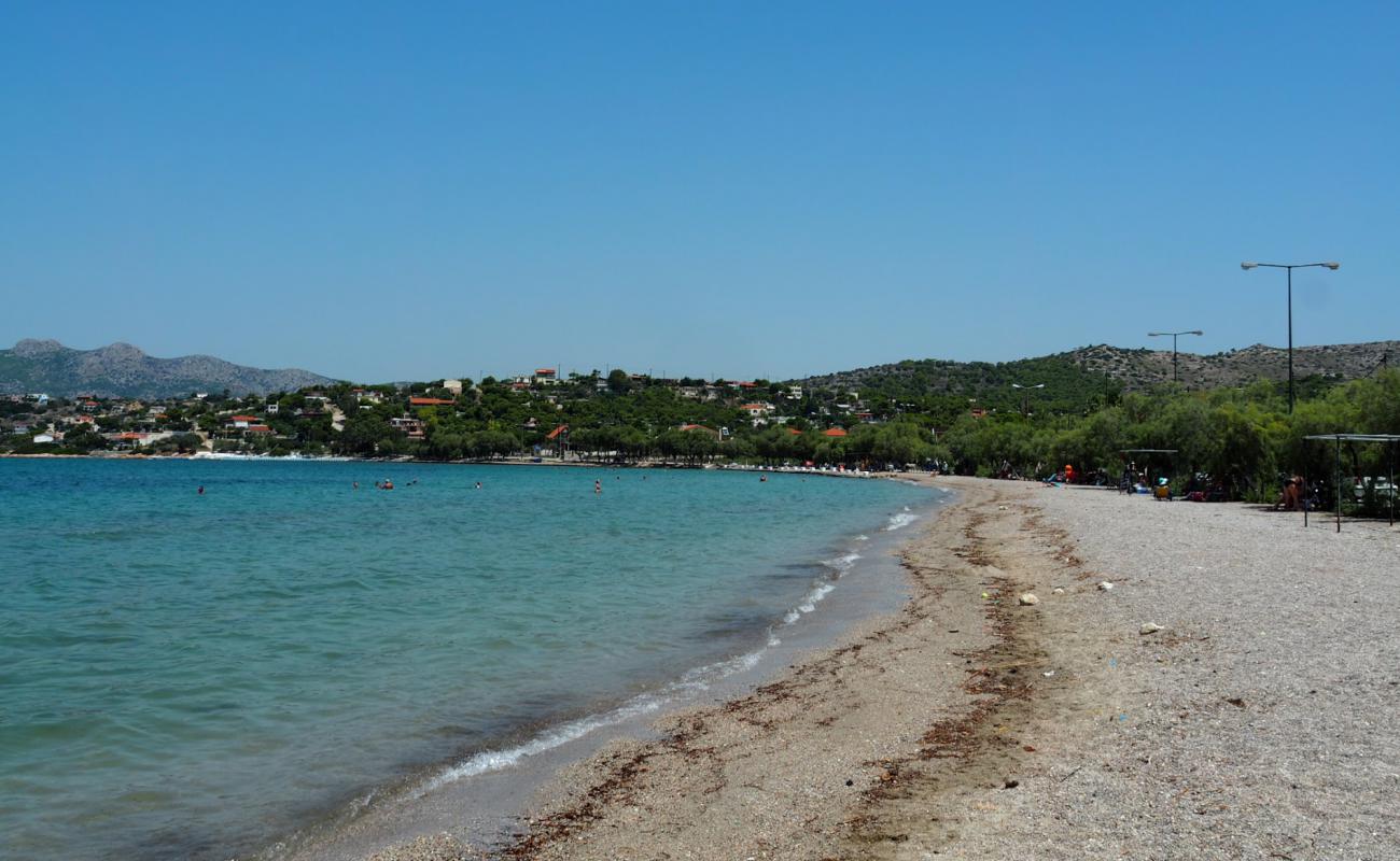 Paralia Vasilika'in fotoğrafı hafif ince çakıl taş yüzey ile