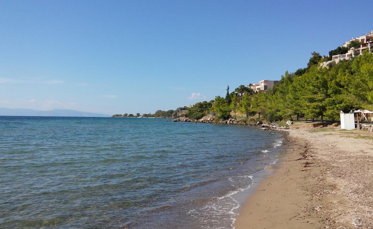 Paralia Marathona'in fotoğrafı kahverengi kum yüzey ile