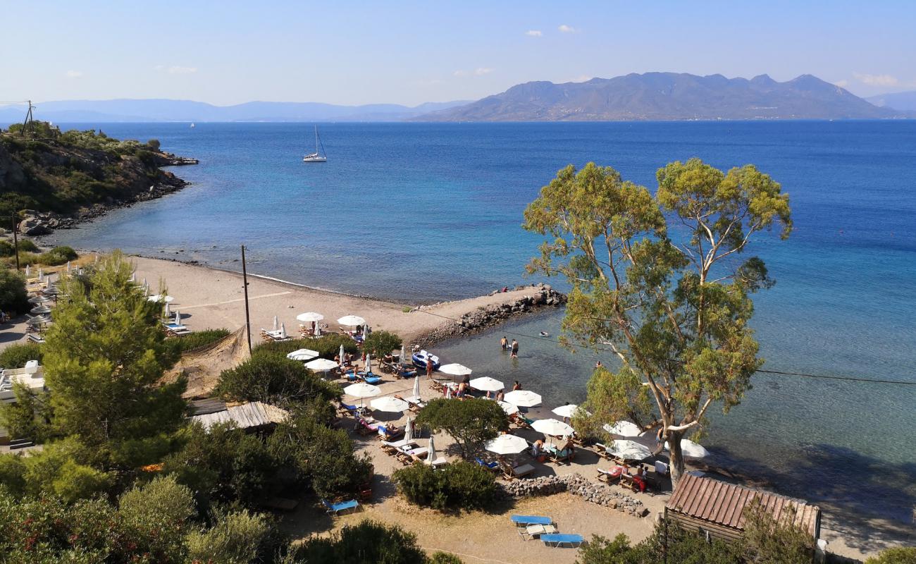 Sarpas Beach'in fotoğrafı siyah kum ve çakıllar yüzey ile
