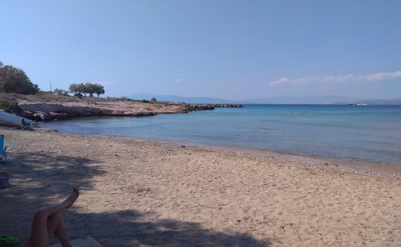 Zenobia Beach'in fotoğrafı siyah kum ve çakıl yüzey ile