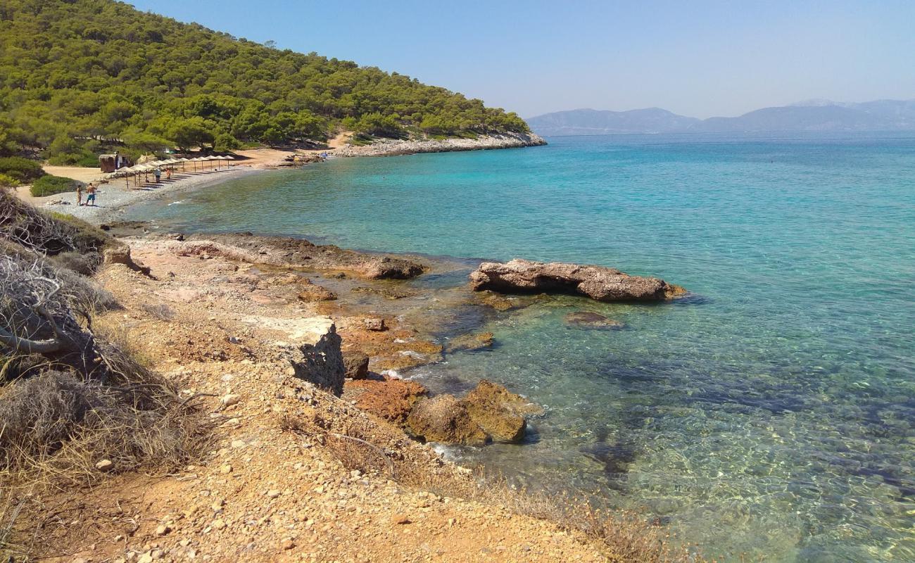 Dragonera Beach'in fotoğrafı hafif çakıl yüzey ile