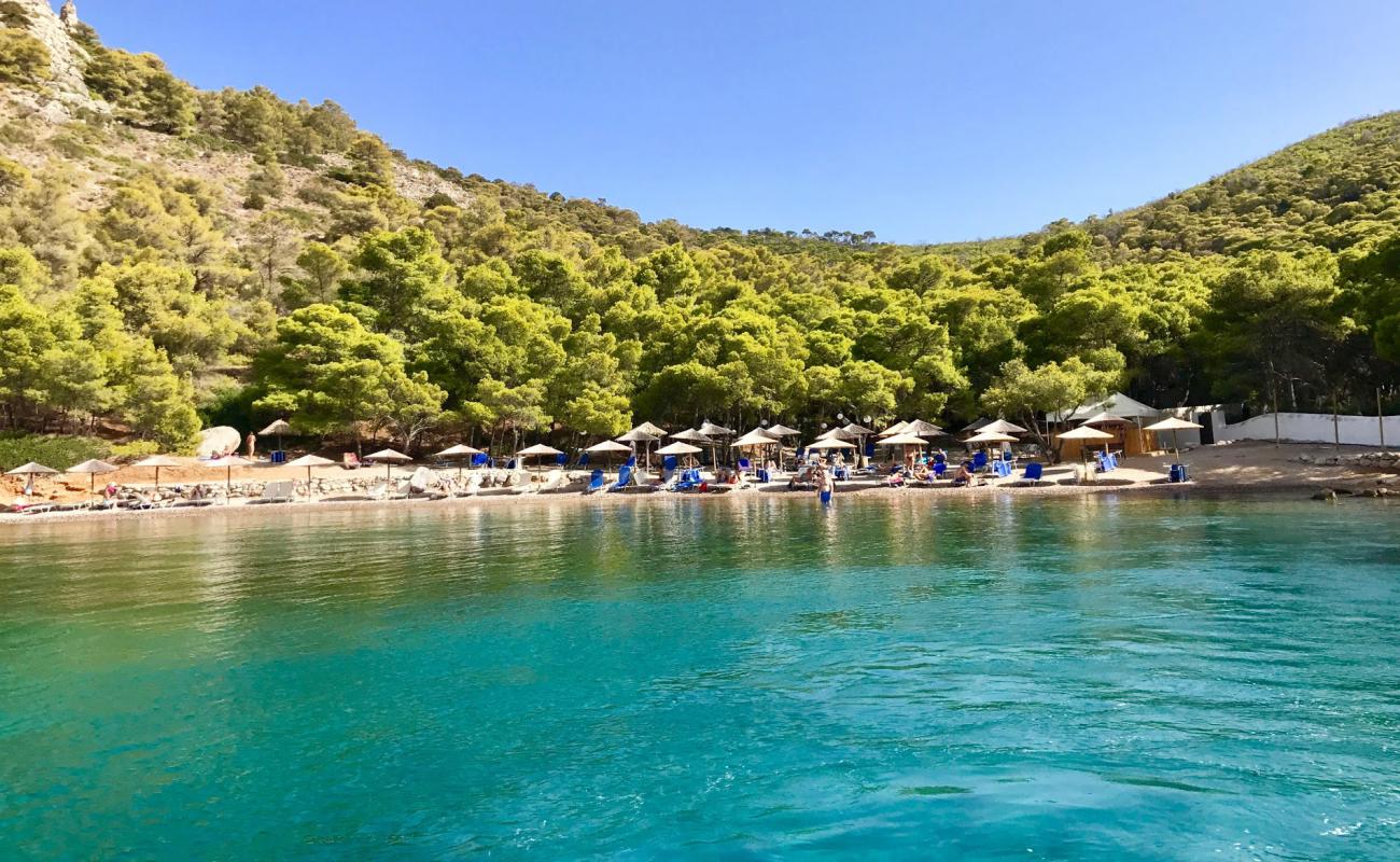 Bisti Beach'in fotoğrafı kahverengi çakıl yüzey ile