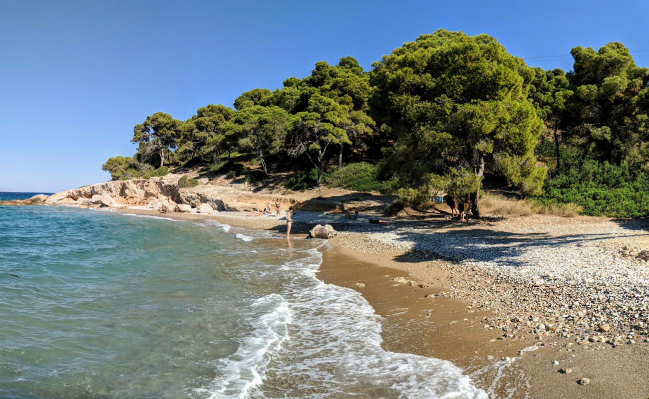 Ligoneri Beach'in fotoğrafı siyah kum ve çakıllar yüzey ile