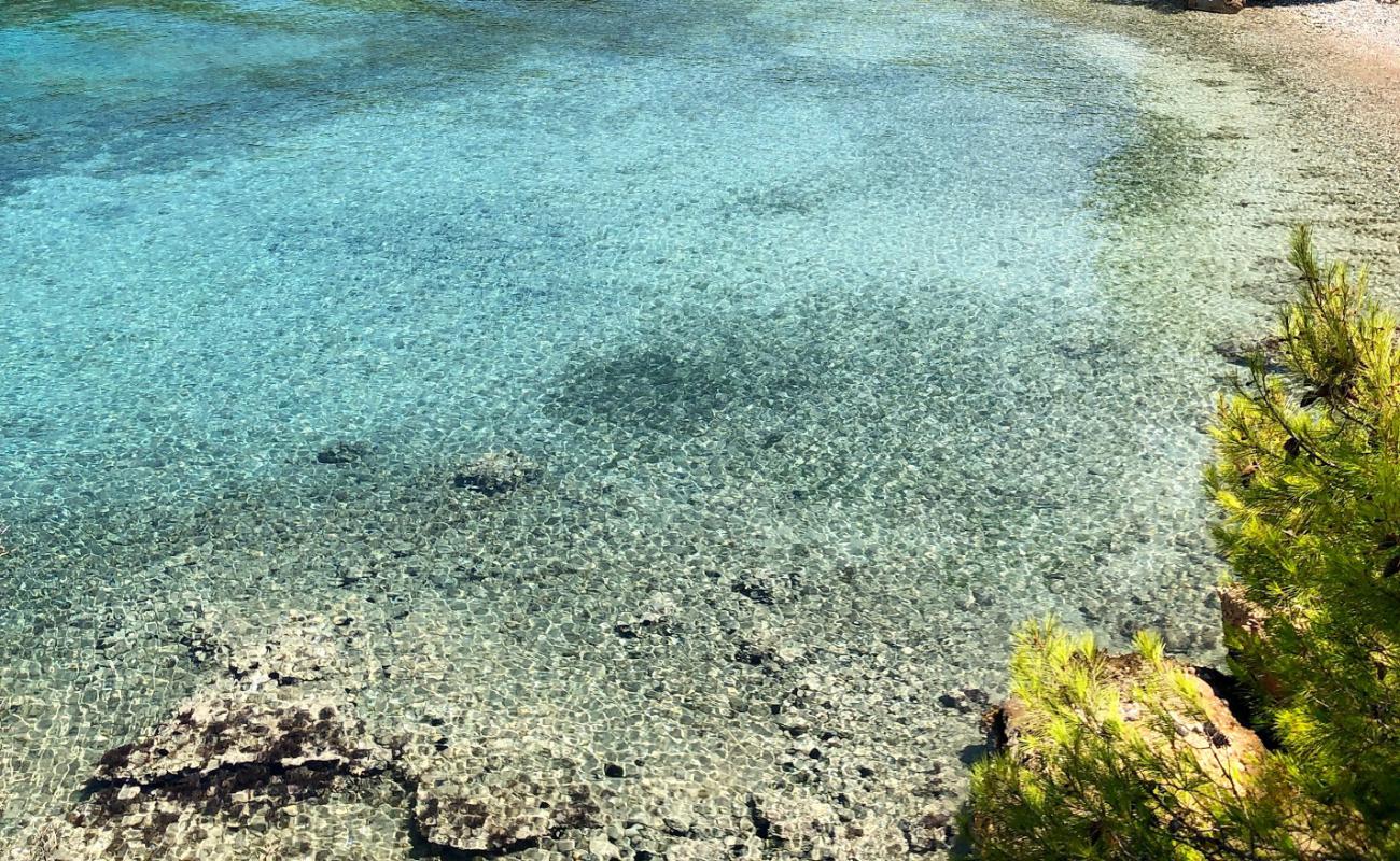 Lovers Cove'in fotoğrafı bej çakıl yüzey ile