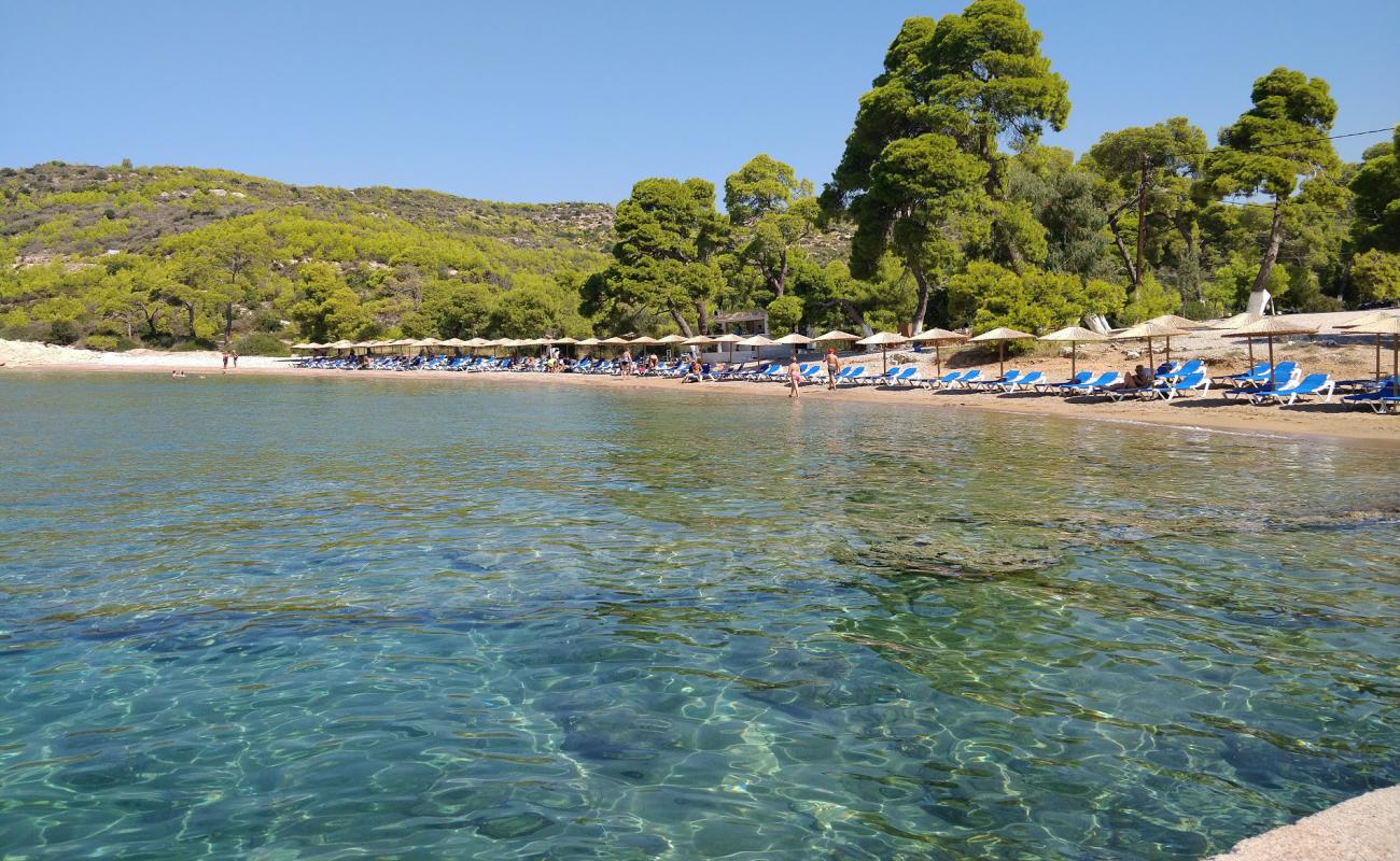 Agia Paraskevi'in fotoğrafı bej kum ve çakıl yüzey ile