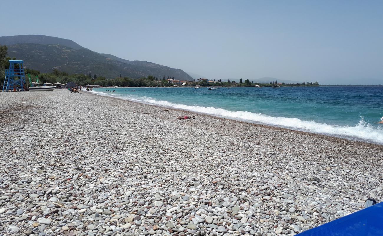 Paralia Eleona'in fotoğrafı kahverengi çakıl yüzey ile