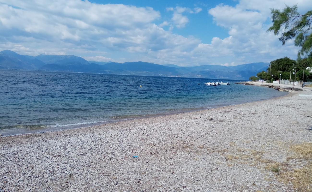 Paralia Rodinis'in fotoğrafı küçük gri çakıllar yüzey ile