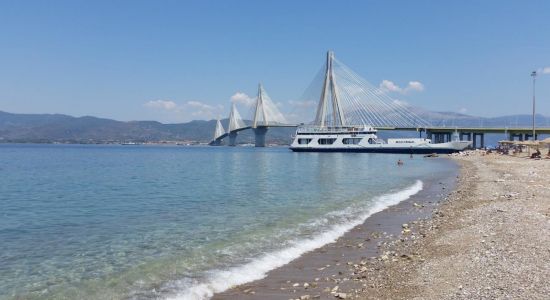 Paralia