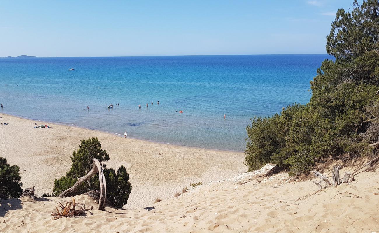 Paralia Gymniston'in fotoğrafı parlak ince kum yüzey ile