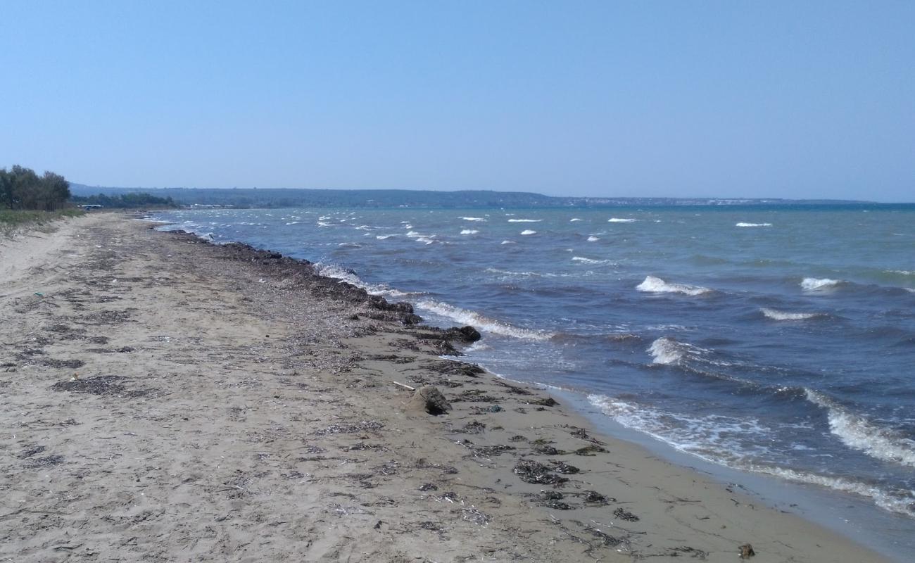 Paralia Myrsinis'in fotoğrafı kahverengi kum yüzey ile