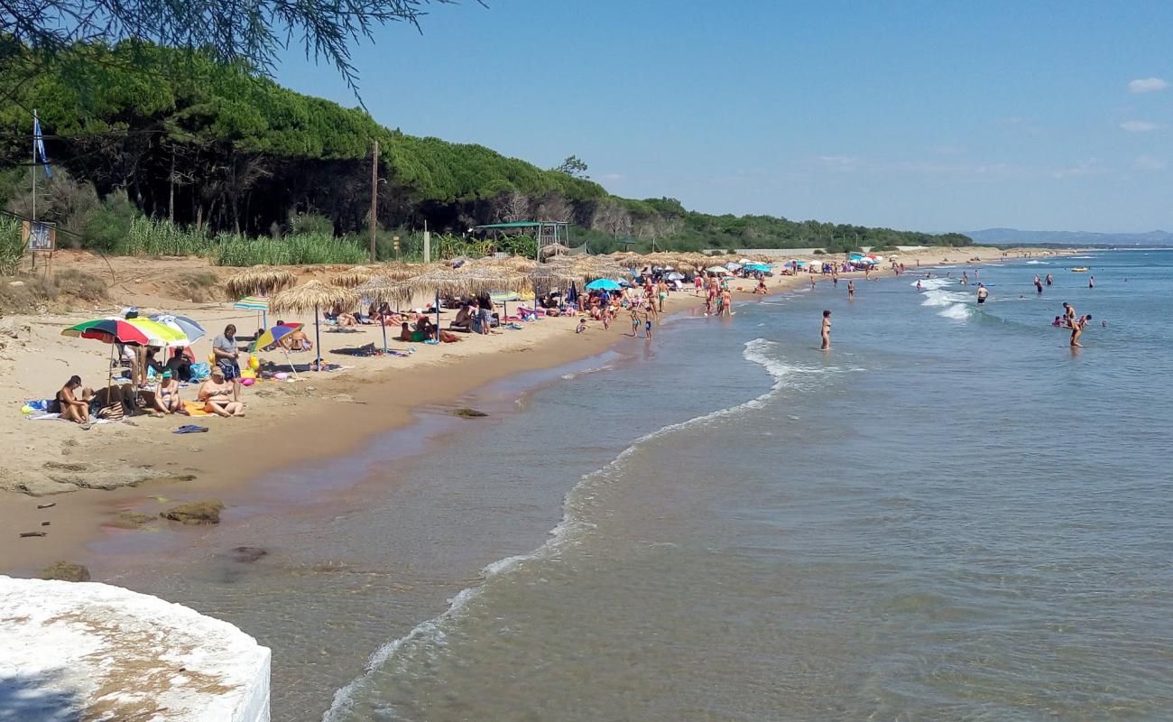Paralia Glifa II'in fotoğrafı i̇nce bej kum yüzey ile