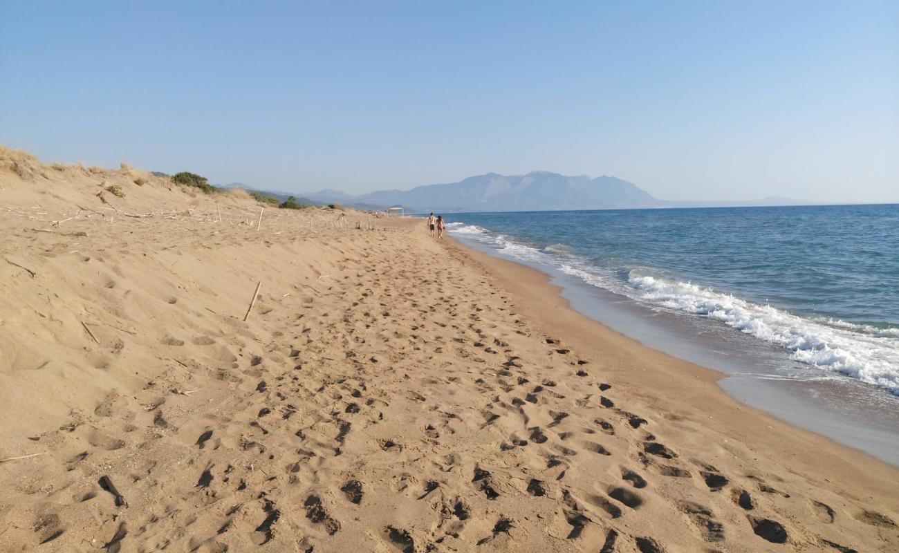 Apollo Camping beach'in fotoğrafı kahverengi kum yüzey ile