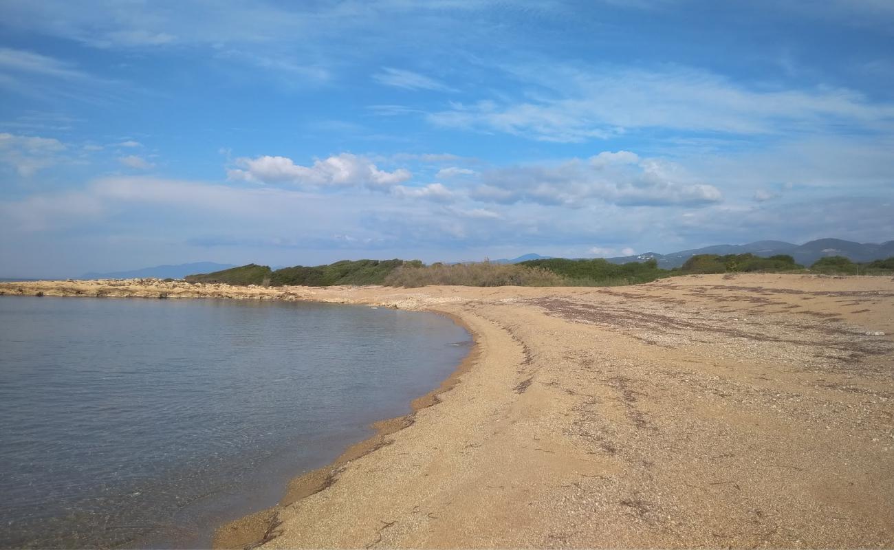 Kiparissia II beach'in fotoğrafı kahverengi kum yüzey ile