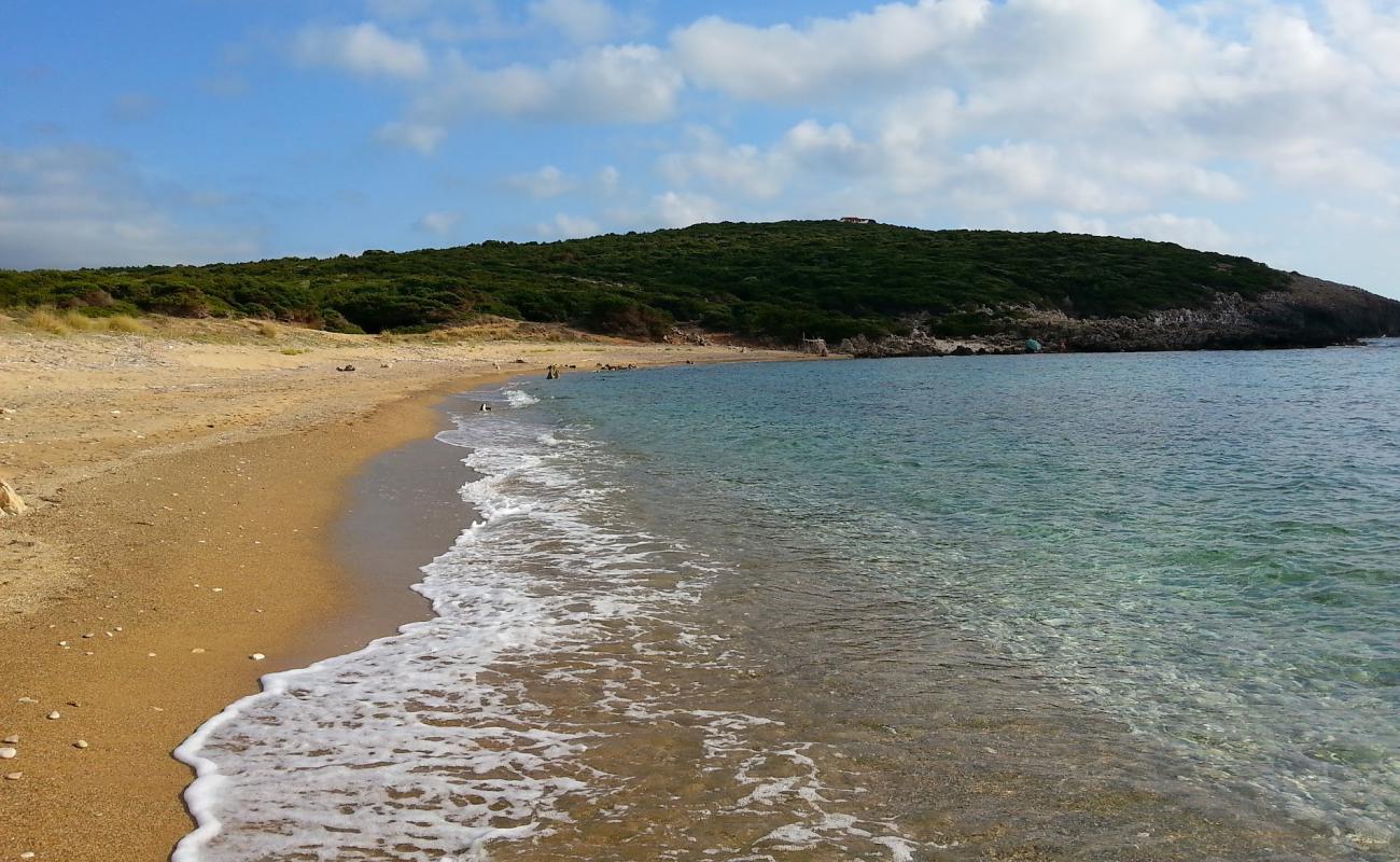 Petrochori beach II'in fotoğrafı kahverengi kum yüzey ile