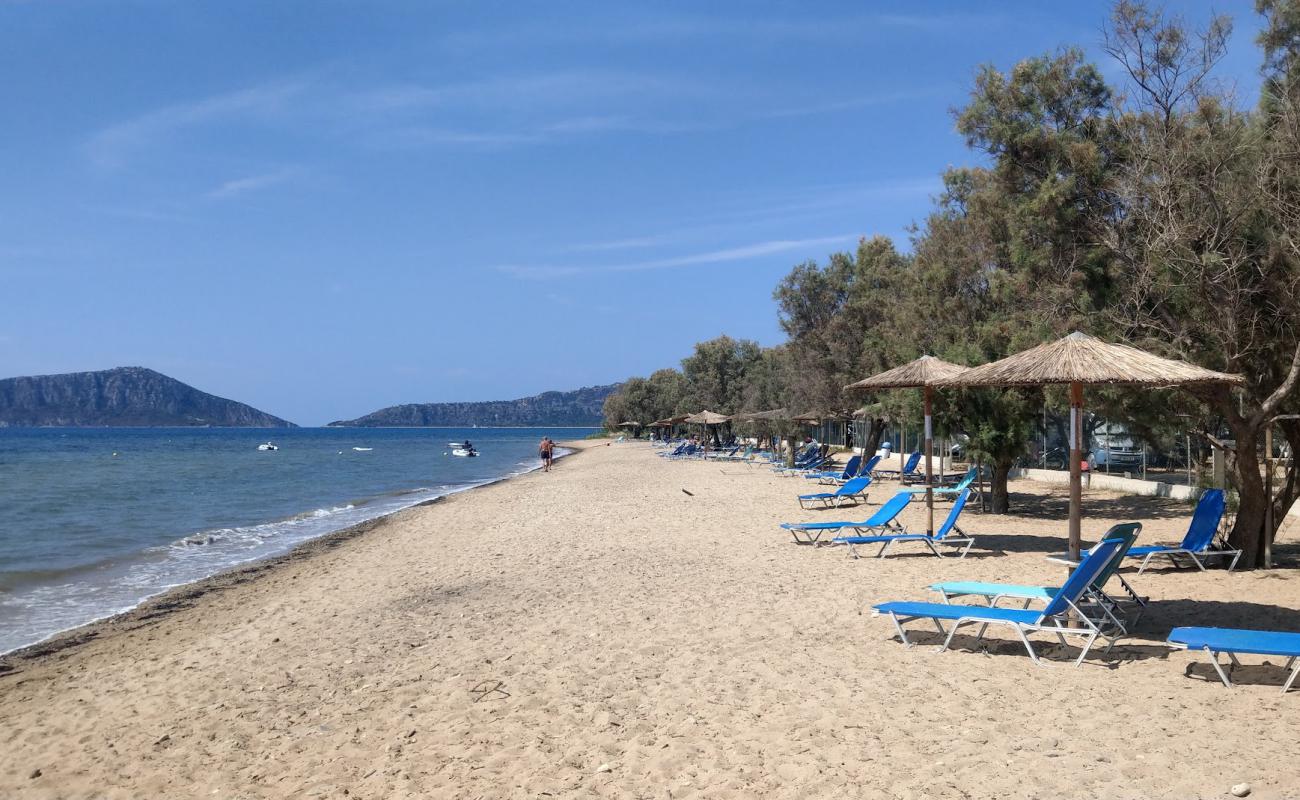 Paralia Gialova II'in fotoğrafı açık bej kum yüzey ile