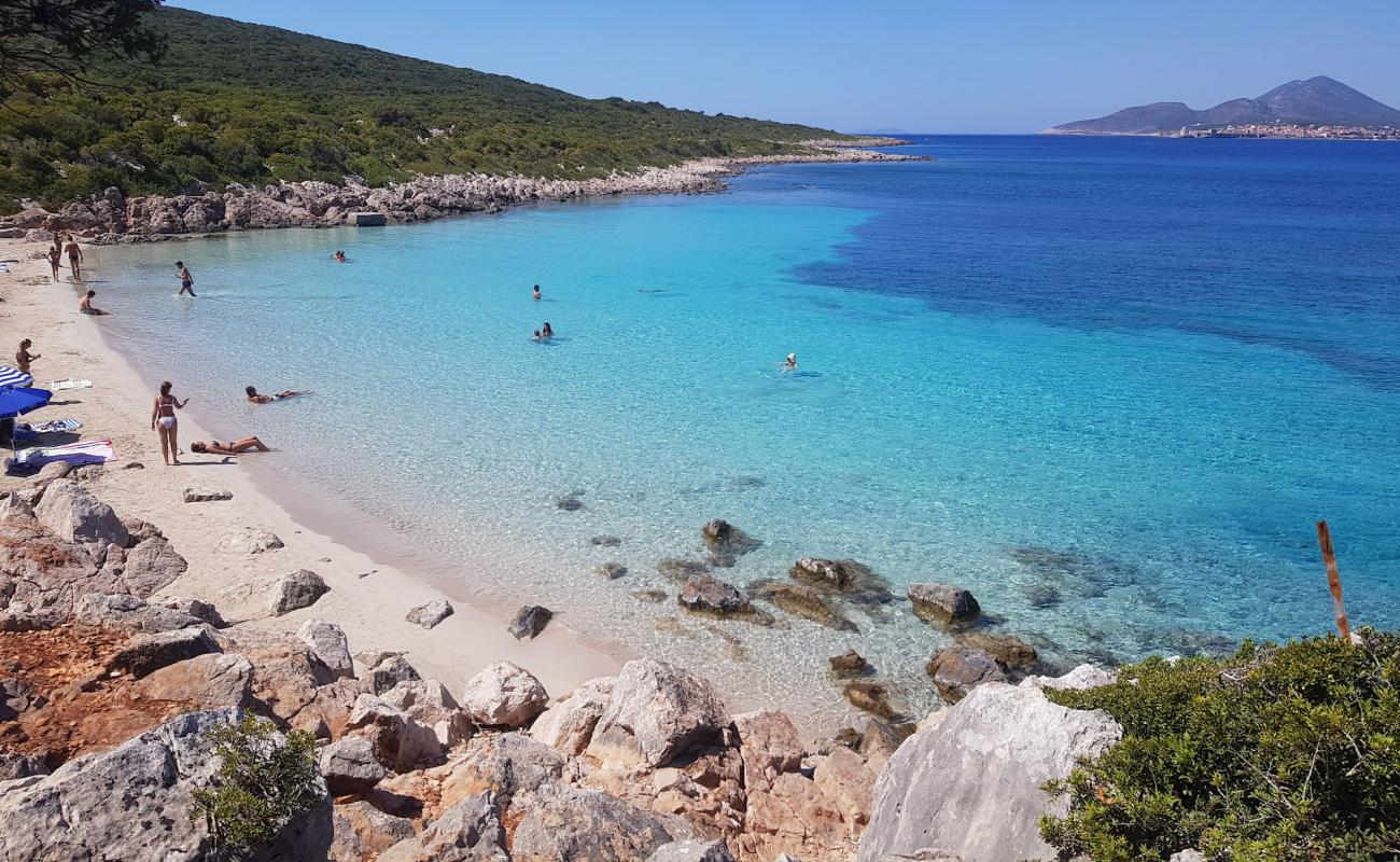 Ammos Plajı'in fotoğrafı gri kum yüzey ile