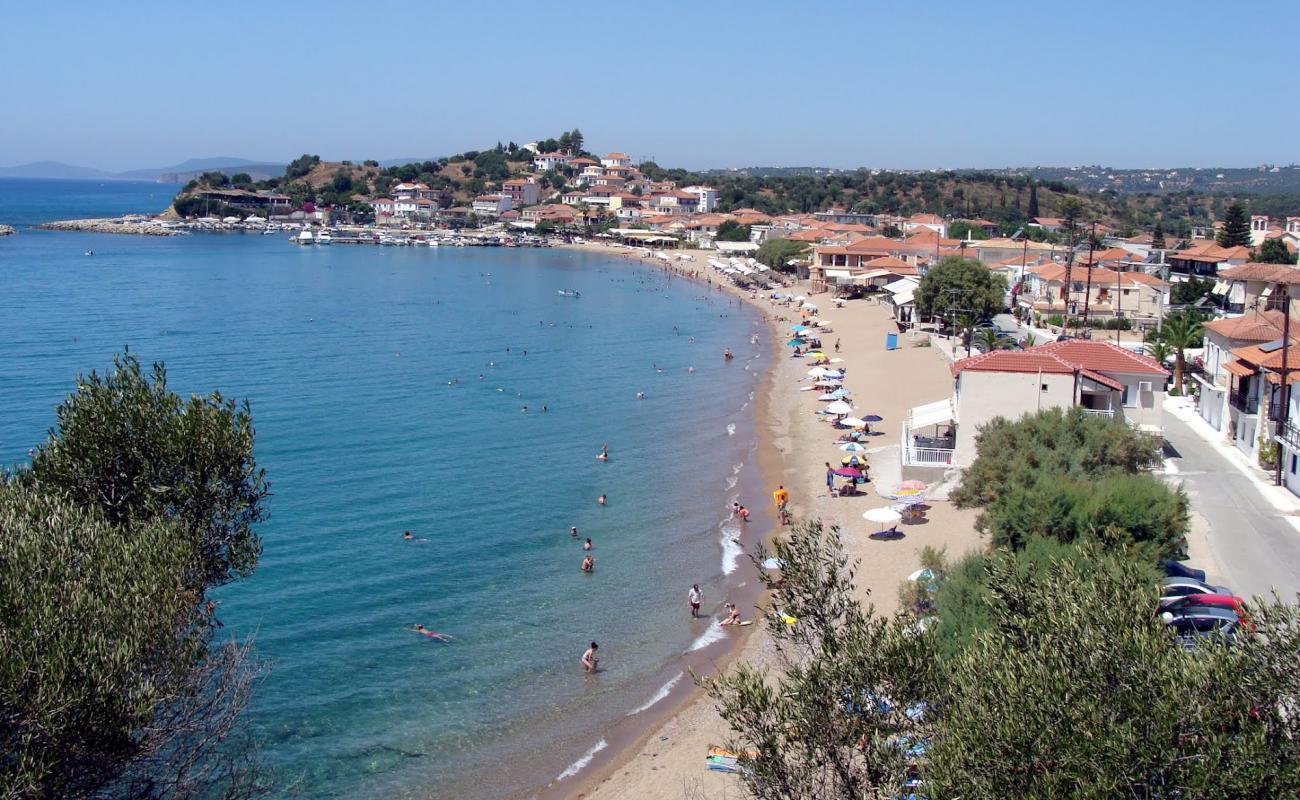 Paralia Finikounta'in fotoğrafı küçük kahverengi çakıllar yüzey ile